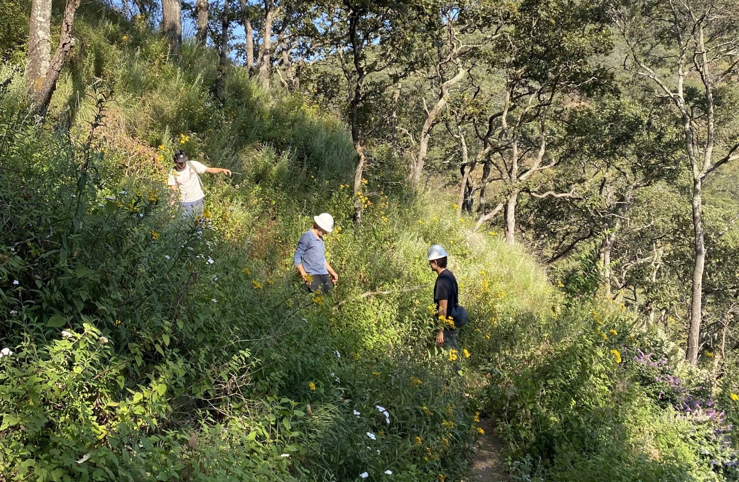 Voluntarios en sendero — Senderos de México
