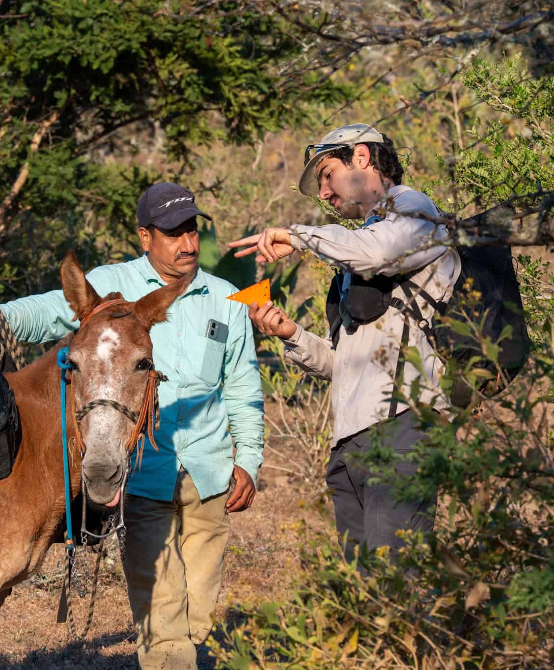 Sendero de Mascota