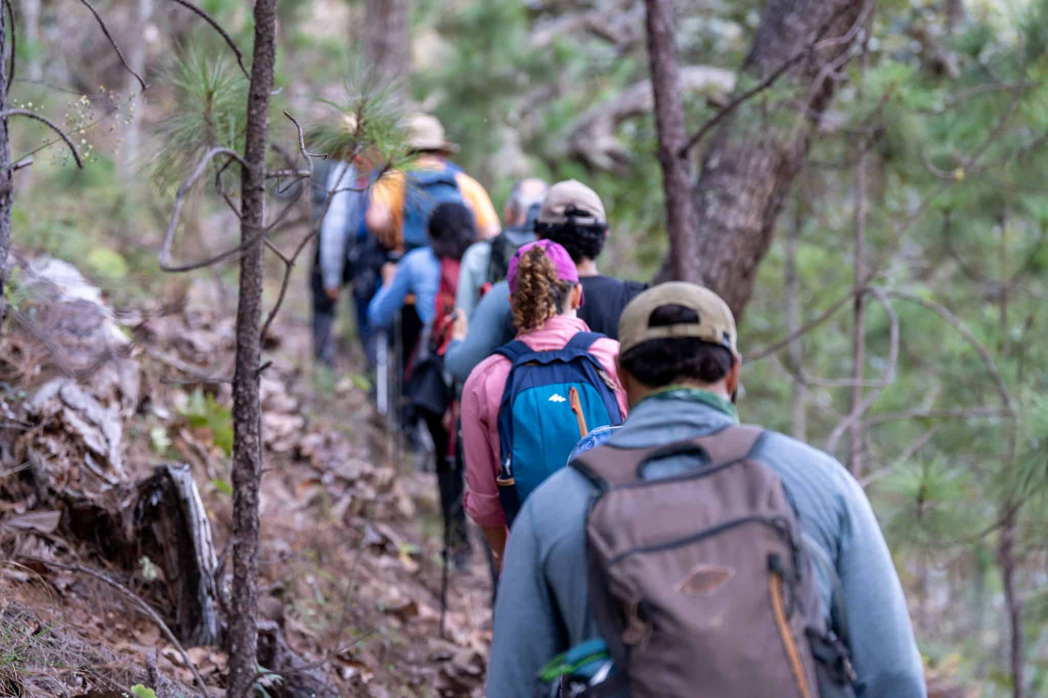 Grupo caminando en el Sendero de Mascota