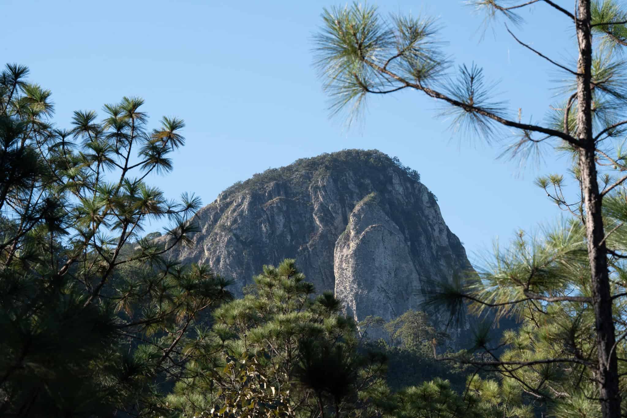 Sendero de Mascota