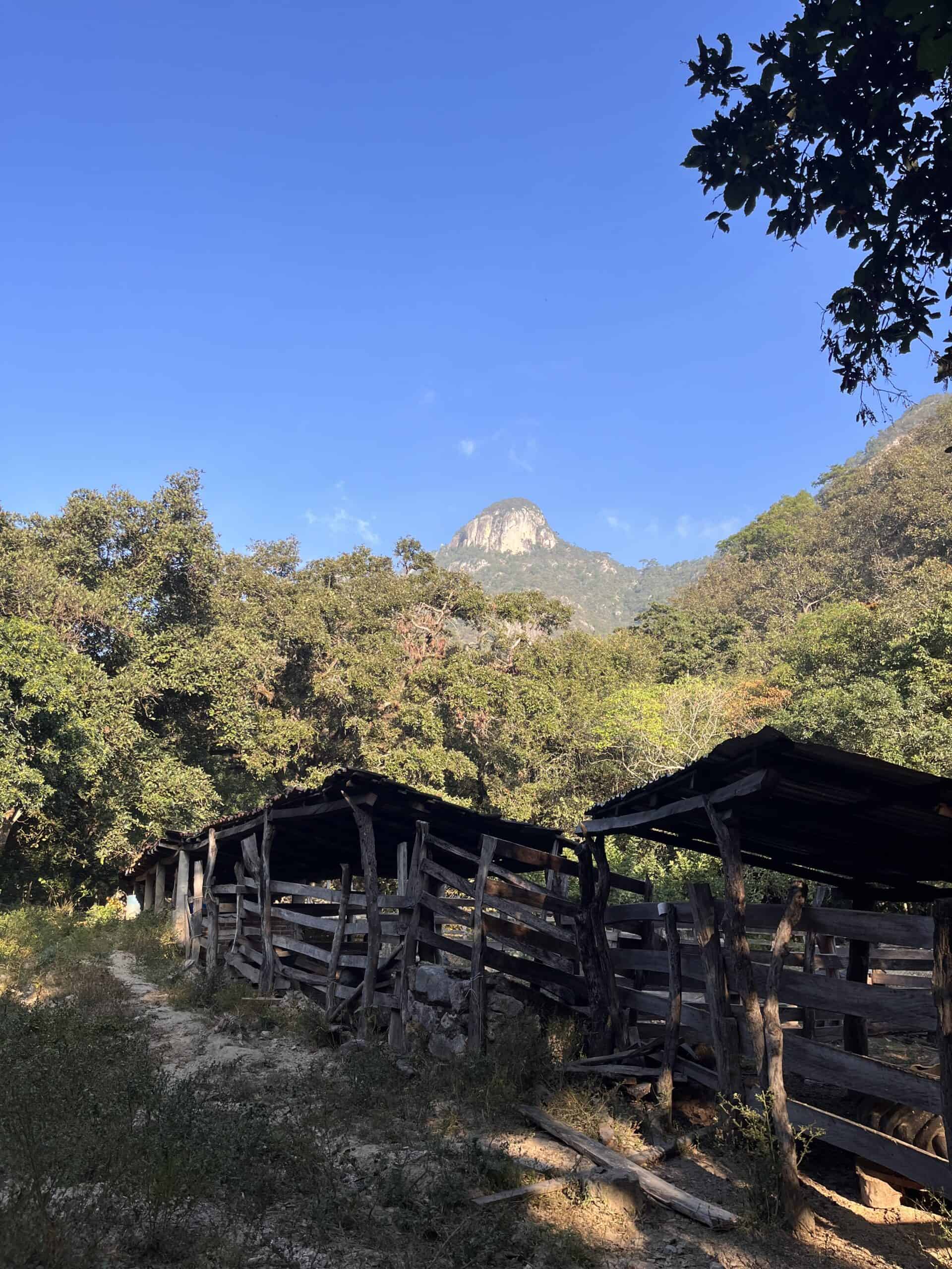 Paisaje rural ganadero, Sendero de Mascota