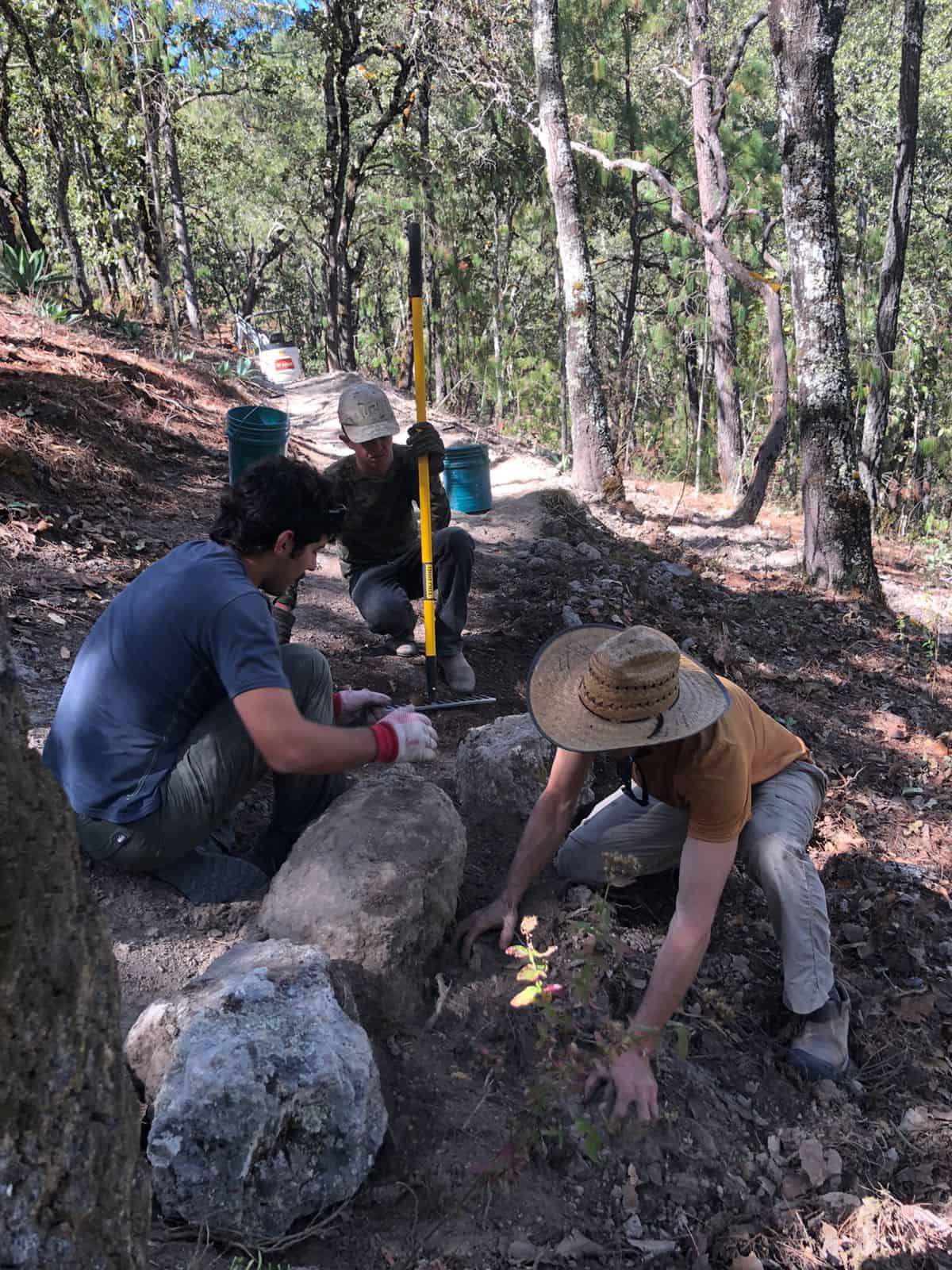 Brigada de mantenimiento