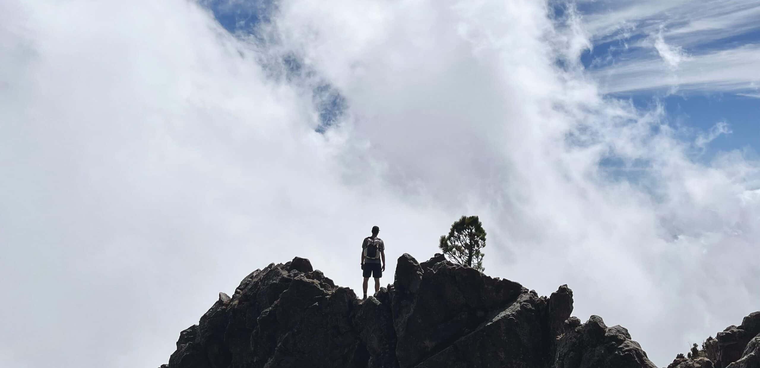 Caminante en sendero — Jalisco