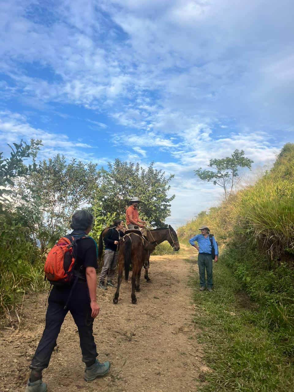 Grupo caminando