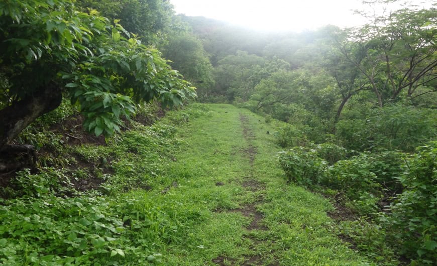 El Limón