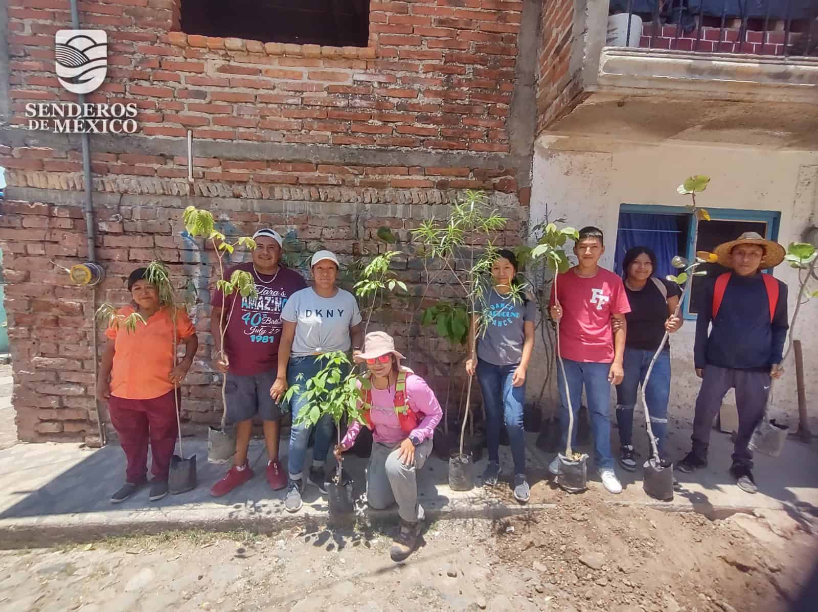Reforestación comunidad